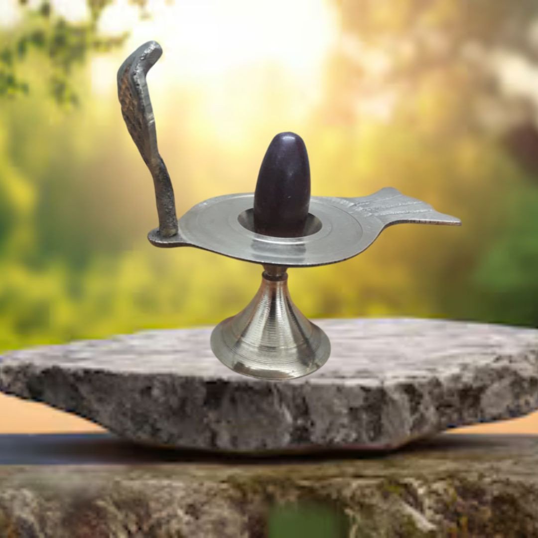 घर में नर्मदेश्वर शिवलिंग रखने के फायदे | Benefits of Narmadeshwar Shivling at Home