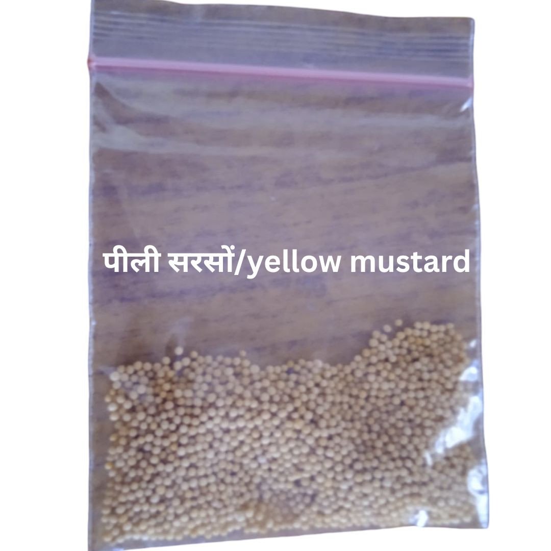 Yellow Mustard/पीली सरसों