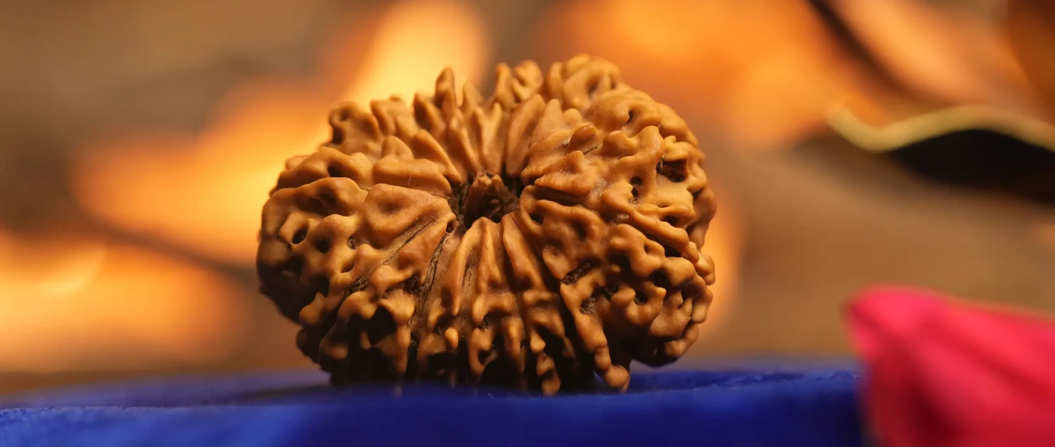 रुद्राक्ष पहनने के फायदे और नुकसान | रुद्राक्ष माला के लाभ और पहचान | Rudraksha Benefits in Hindi