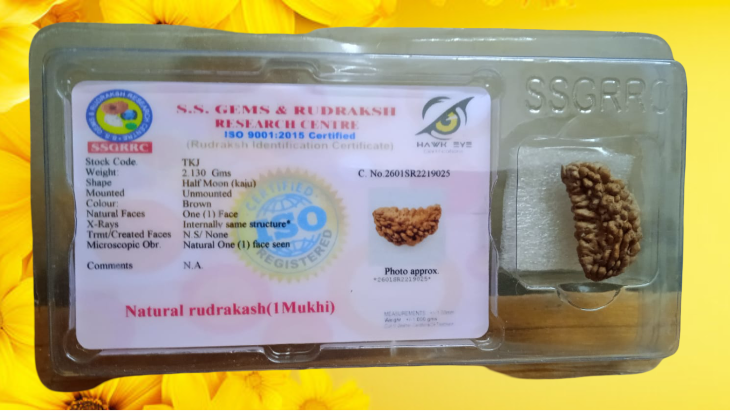 One Mukhi Rudraksha Certified Kaju Dana/Original 1 Mukhi Rudraksh Kaju Dana/Natural 1 faced Half-moon Rudraksha